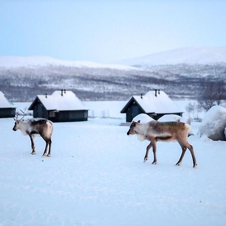 Arctic Land Adventure Glass Igloos Kilpisjärvi Dış mekan fotoğraf