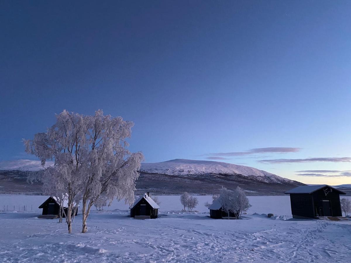 Arctic Land Adventure Glass Igloos Kilpisjärvi Dış mekan fotoğraf