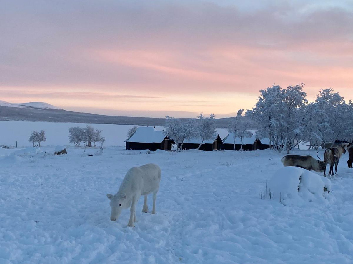 Arctic Land Adventure Glass Igloos Kilpisjärvi Dış mekan fotoğraf