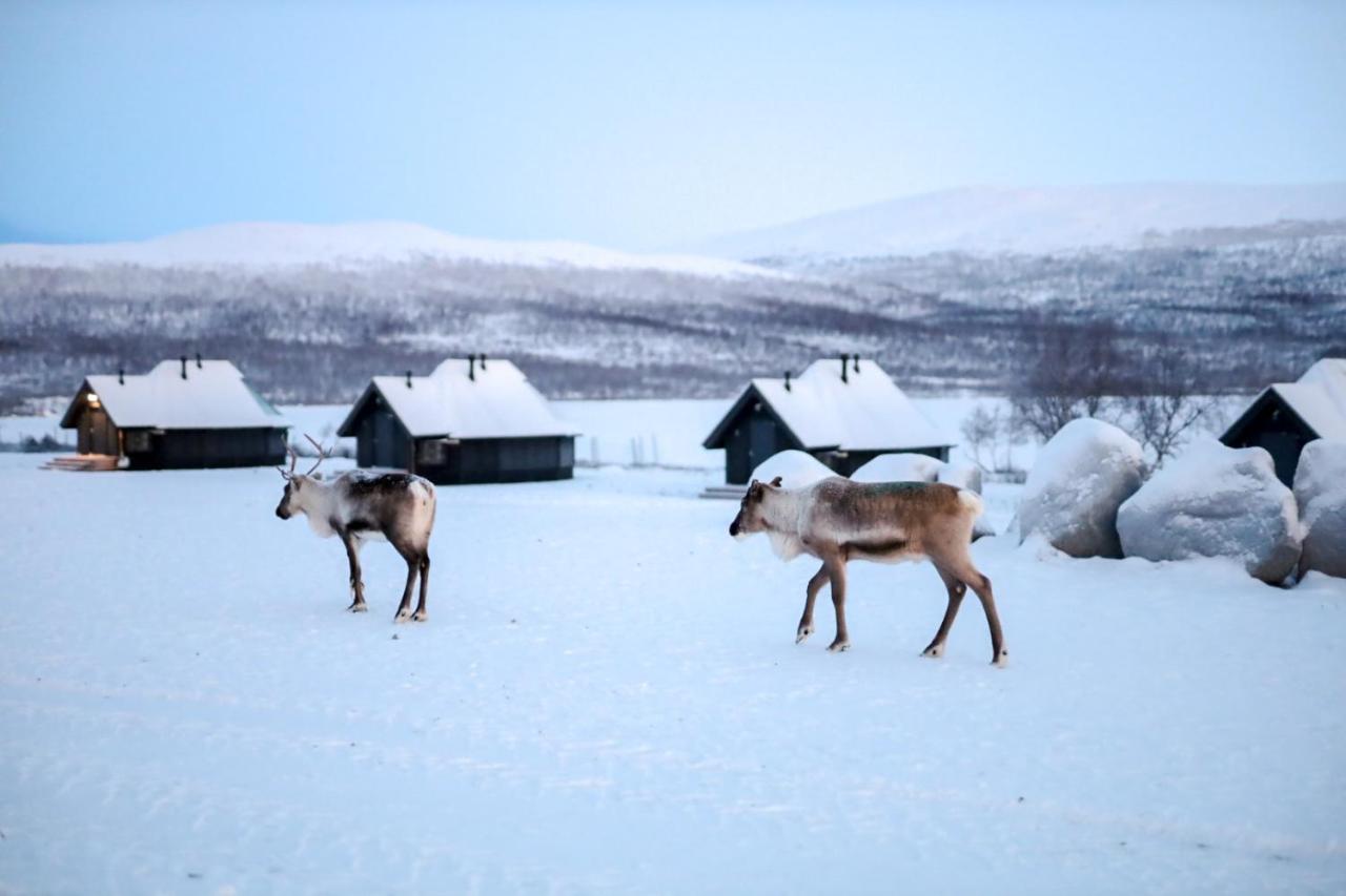 Arctic Land Adventure Glass Igloos Kilpisjärvi Dış mekan fotoğraf