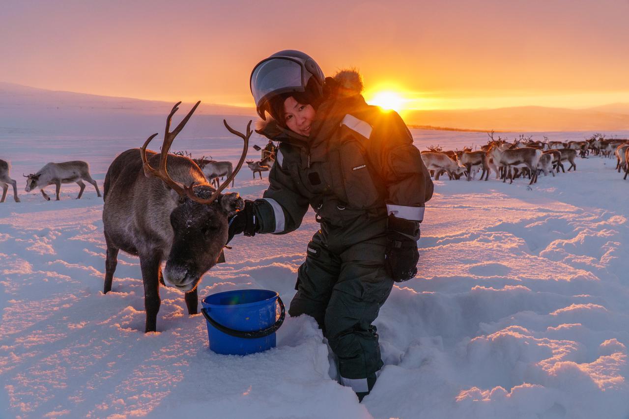 Arctic Land Adventure Glass Igloos Kilpisjärvi Dış mekan fotoğraf