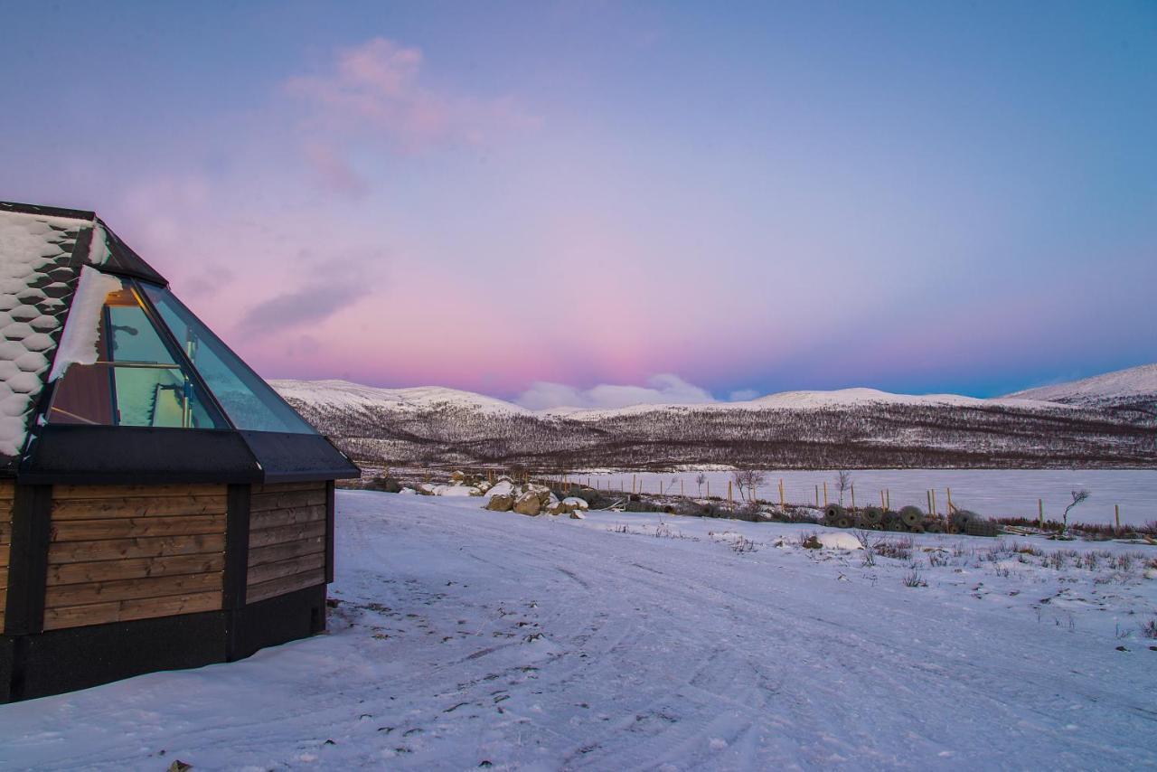 Arctic Land Adventure Glass Igloos Kilpisjärvi Dış mekan fotoğraf
