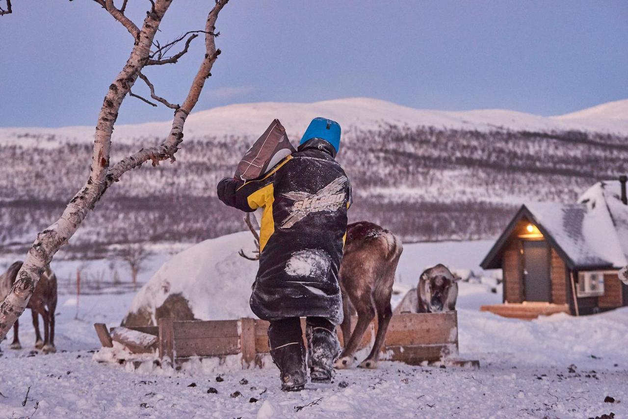 Arctic Land Adventure Glass Igloos Kilpisjärvi Dış mekan fotoğraf